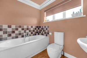 Photo 50- click for photo gallery